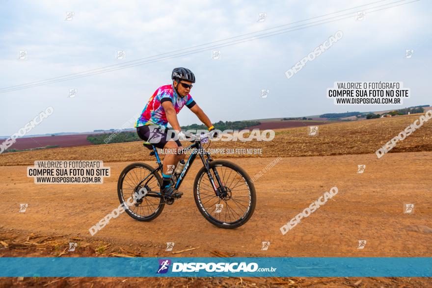 Rota das Capelas de Mandaguaçu