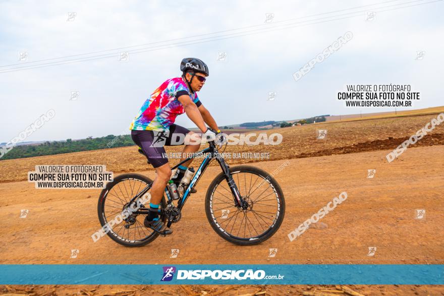 Rota das Capelas de Mandaguaçu