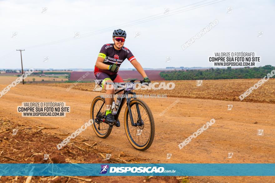 Rota das Capelas de Mandaguaçu