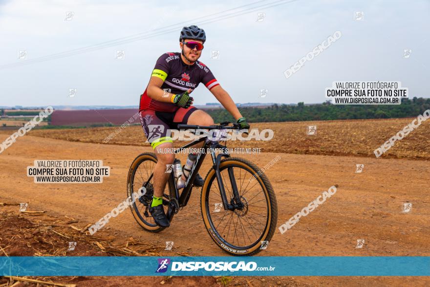 Rota das Capelas de Mandaguaçu