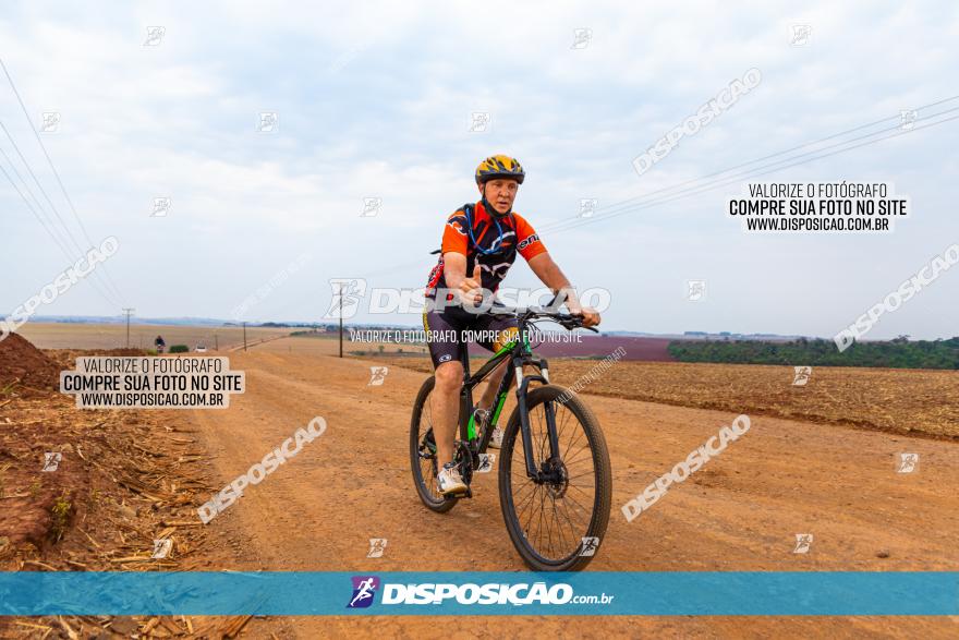 Rota das Capelas de Mandaguaçu