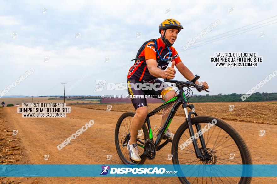 Rota das Capelas de Mandaguaçu