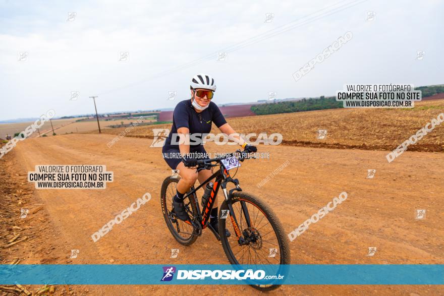 Rota das Capelas de Mandaguaçu