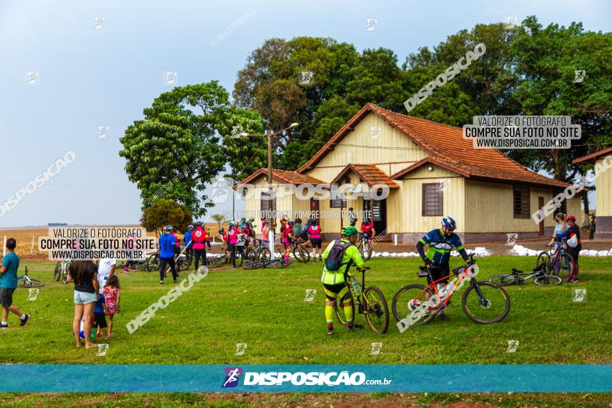 Rota das Capelas de Mandaguaçu