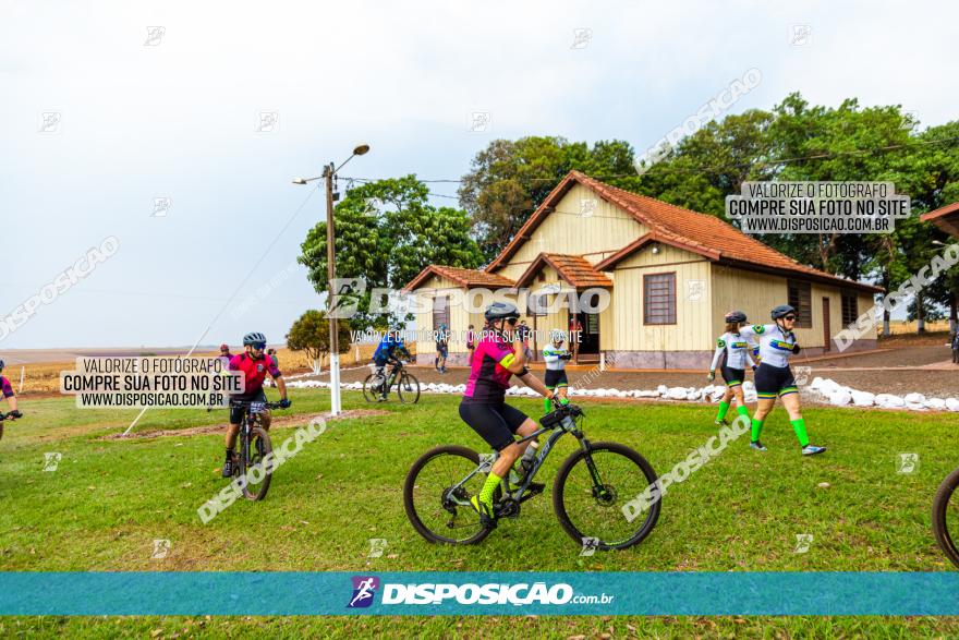 Rota das Capelas de Mandaguaçu