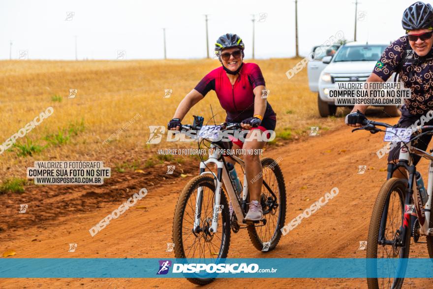 Rota das Capelas de Mandaguaçu