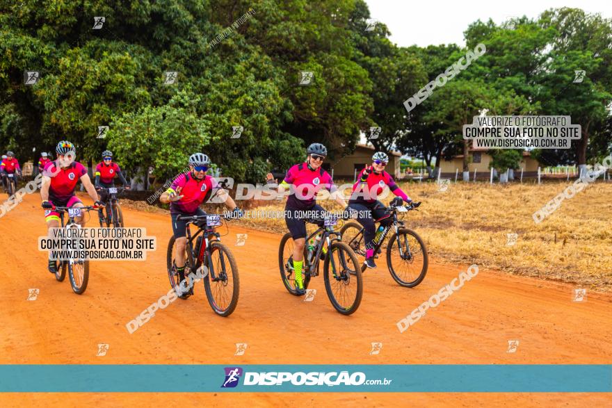 Rota das Capelas de Mandaguaçu