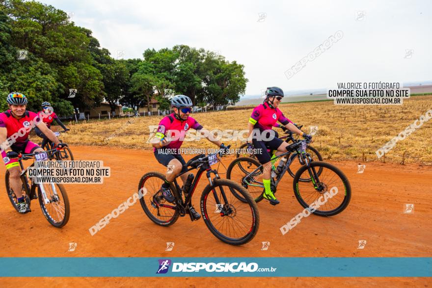 Rota das Capelas de Mandaguaçu