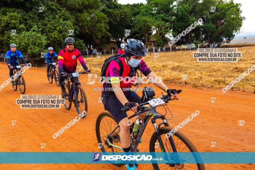 Rota das Capelas de Mandaguaçu