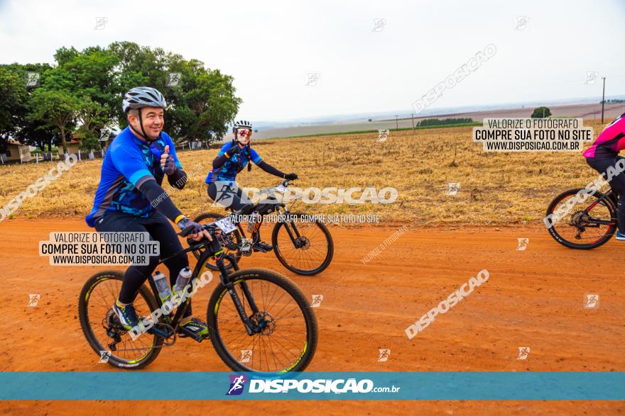 Rota das Capelas de Mandaguaçu