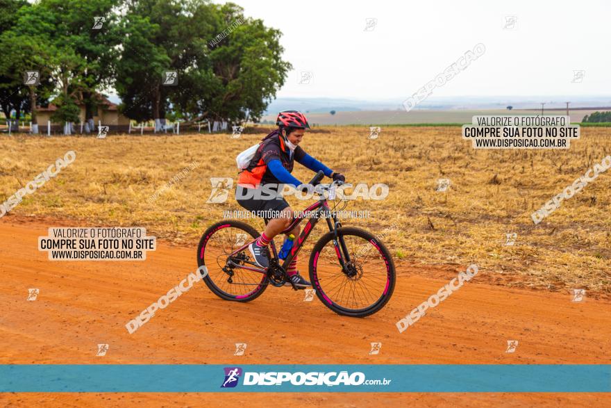 Rota das Capelas de Mandaguaçu