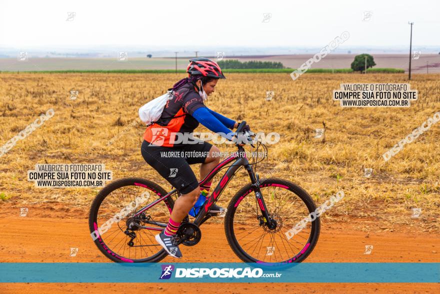 Rota das Capelas de Mandaguaçu