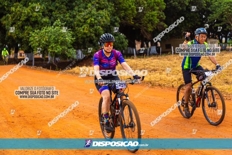 Rota das Capelas de Mandaguaçu