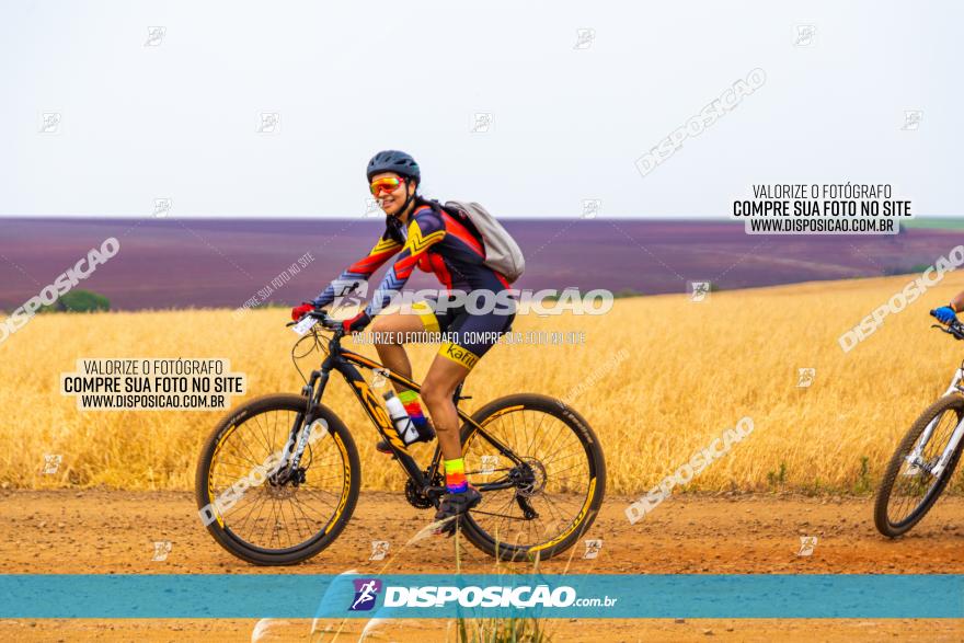 Rota das Capelas de Mandaguaçu