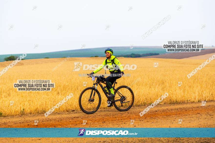 Rota das Capelas de Mandaguaçu