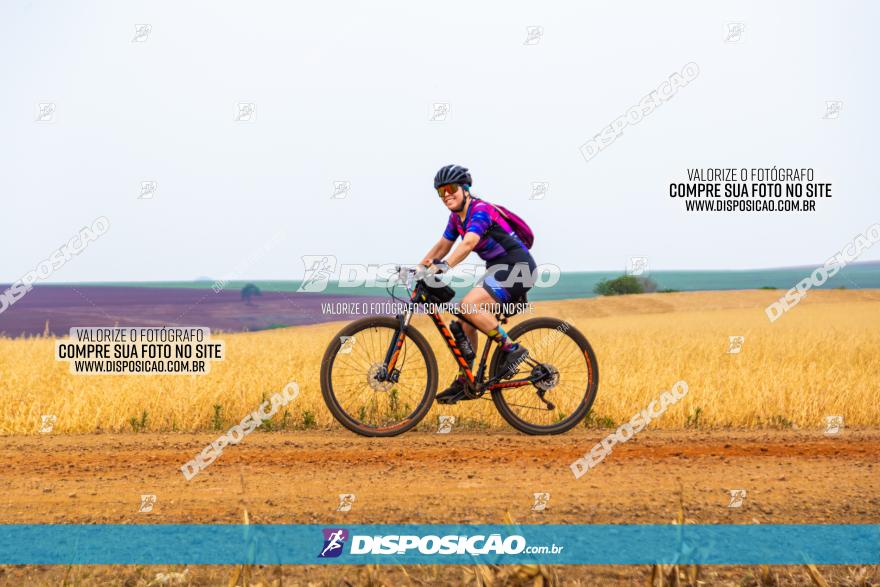 Rota das Capelas de Mandaguaçu