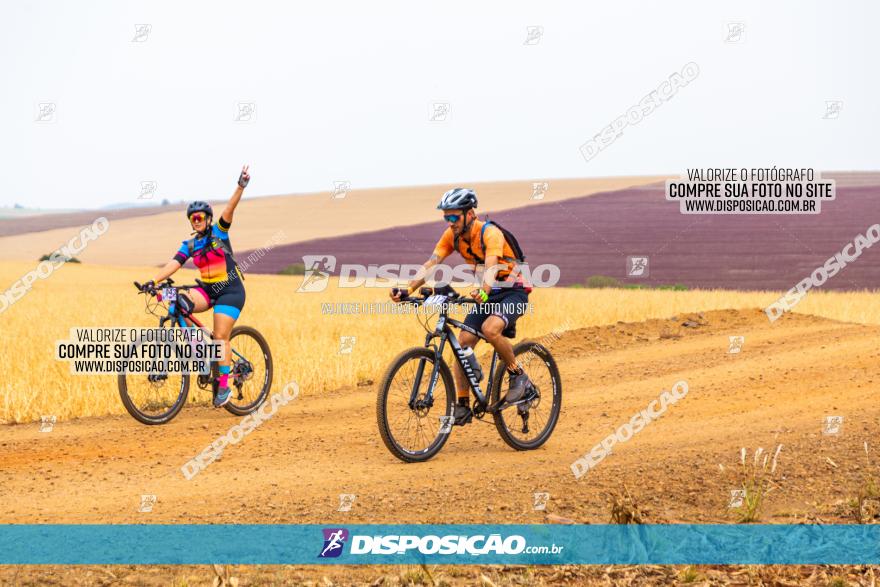 Rota das Capelas de Mandaguaçu