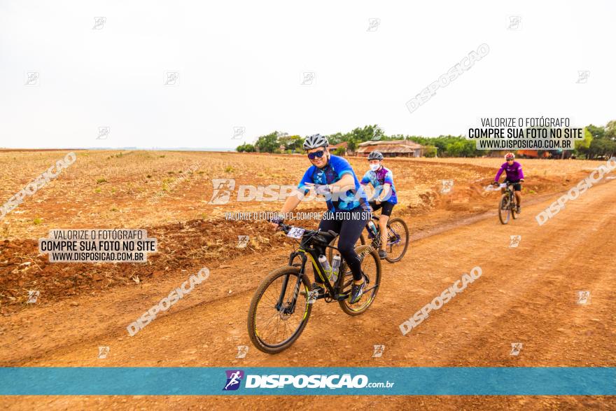 Rota das Capelas de Mandaguaçu