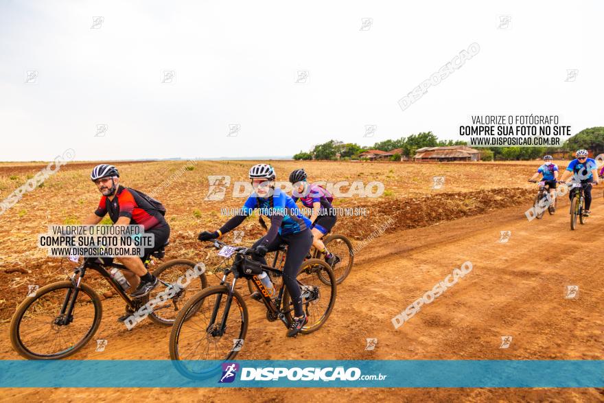 Rota das Capelas de Mandaguaçu