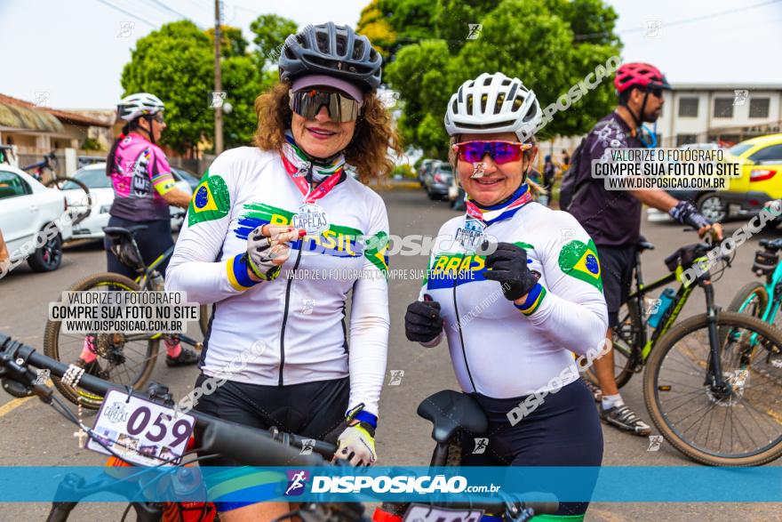 Rota das Capelas de Mandaguaçu