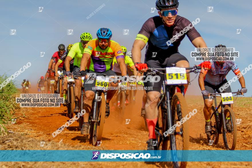 1º CAMPEONATO CINTURÃO VERDE BOUGAINVILLE PREMIUM - PRIMEIRA ETAPA