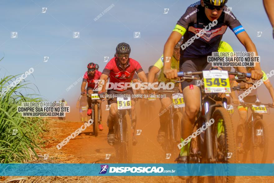 1º CAMPEONATO CINTURÃO VERDE BOUGAINVILLE PREMIUM - PRIMEIRA ETAPA