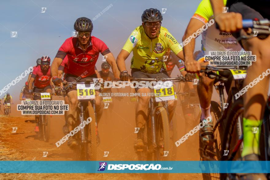 1º CAMPEONATO CINTURÃO VERDE BOUGAINVILLE PREMIUM - PRIMEIRA ETAPA