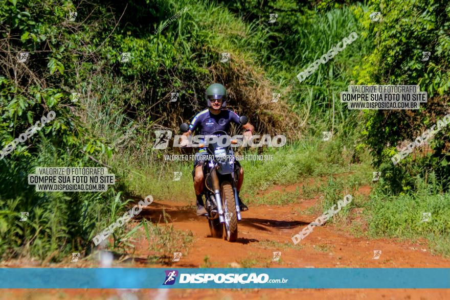 1º CAMPEONATO CINTURÃO VERDE BOUGAINVILLE PREMIUM - PRIMEIRA ETAPA