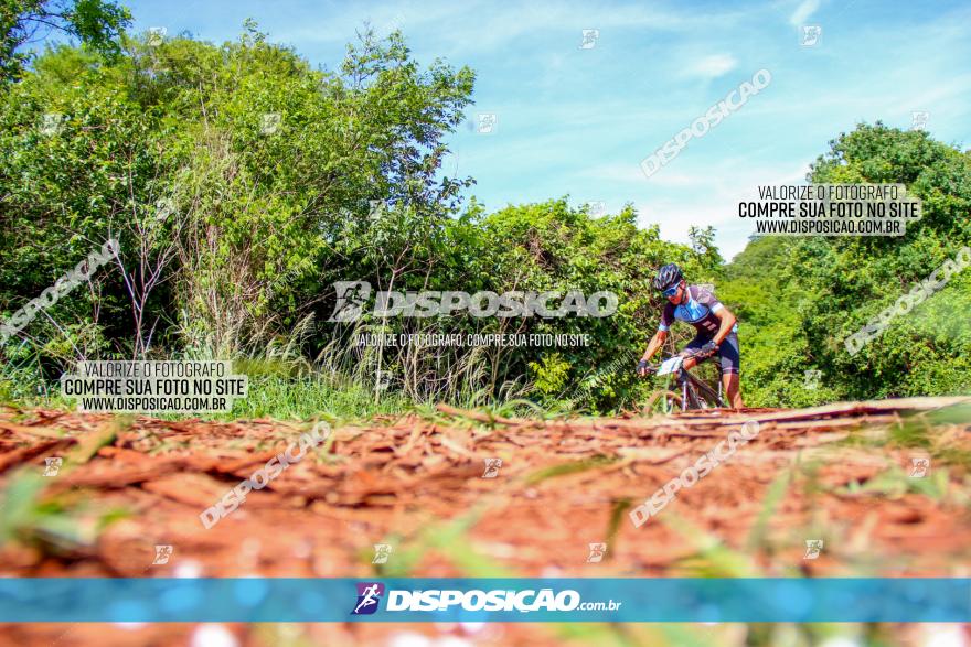 1º CAMPEONATO CINTURÃO VERDE BOUGAINVILLE PREMIUM - PRIMEIRA ETAPA