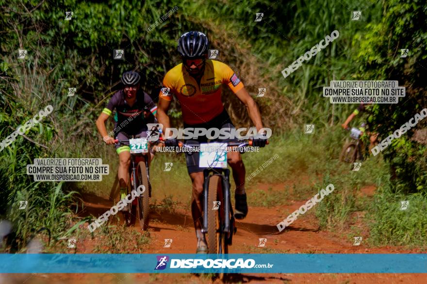 1º CAMPEONATO CINTURÃO VERDE BOUGAINVILLE PREMIUM - PRIMEIRA ETAPA