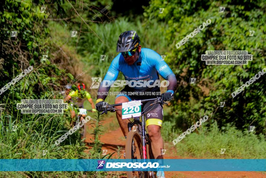 1º CAMPEONATO CINTURÃO VERDE BOUGAINVILLE PREMIUM - PRIMEIRA ETAPA