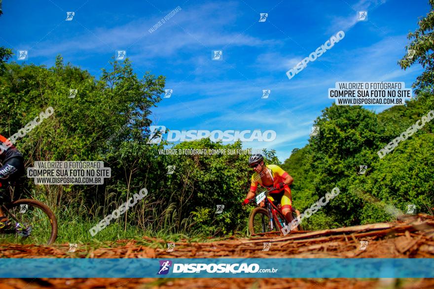 1º CAMPEONATO CINTURÃO VERDE BOUGAINVILLE PREMIUM - PRIMEIRA ETAPA