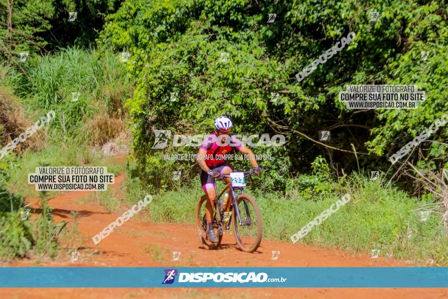 1º CAMPEONATO CINTURÃO VERDE BOUGAINVILLE PREMIUM - PRIMEIRA ETAPA