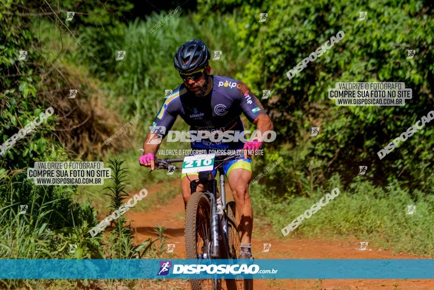 1º CAMPEONATO CINTURÃO VERDE BOUGAINVILLE PREMIUM - PRIMEIRA ETAPA