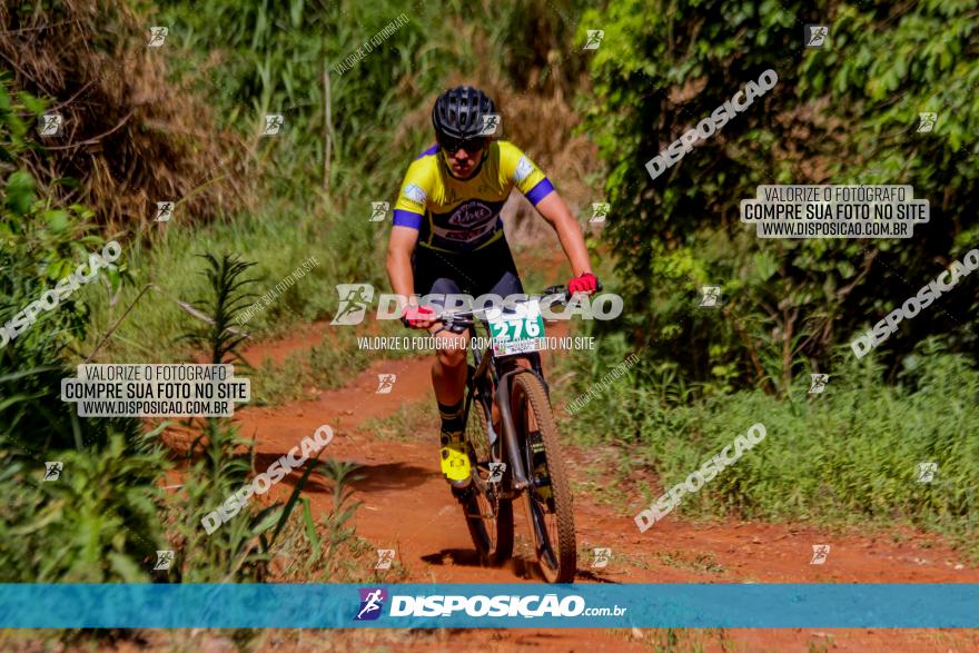 1º CAMPEONATO CINTURÃO VERDE BOUGAINVILLE PREMIUM - PRIMEIRA ETAPA