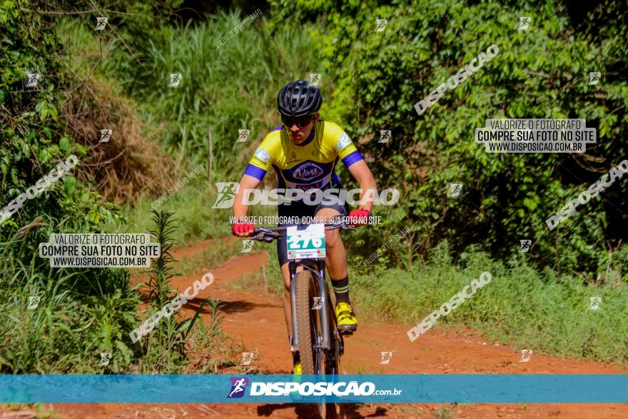 1º CAMPEONATO CINTURÃO VERDE BOUGAINVILLE PREMIUM - PRIMEIRA ETAPA