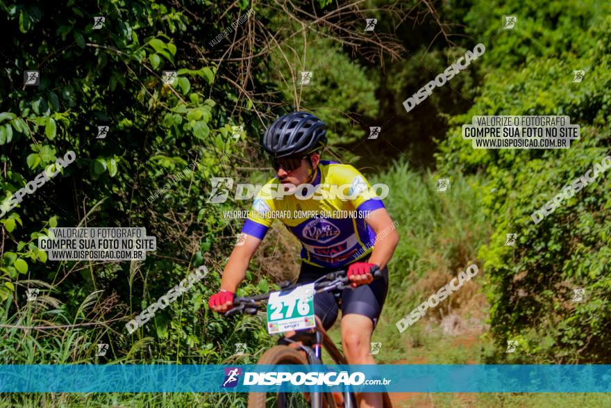 1º CAMPEONATO CINTURÃO VERDE BOUGAINVILLE PREMIUM - PRIMEIRA ETAPA