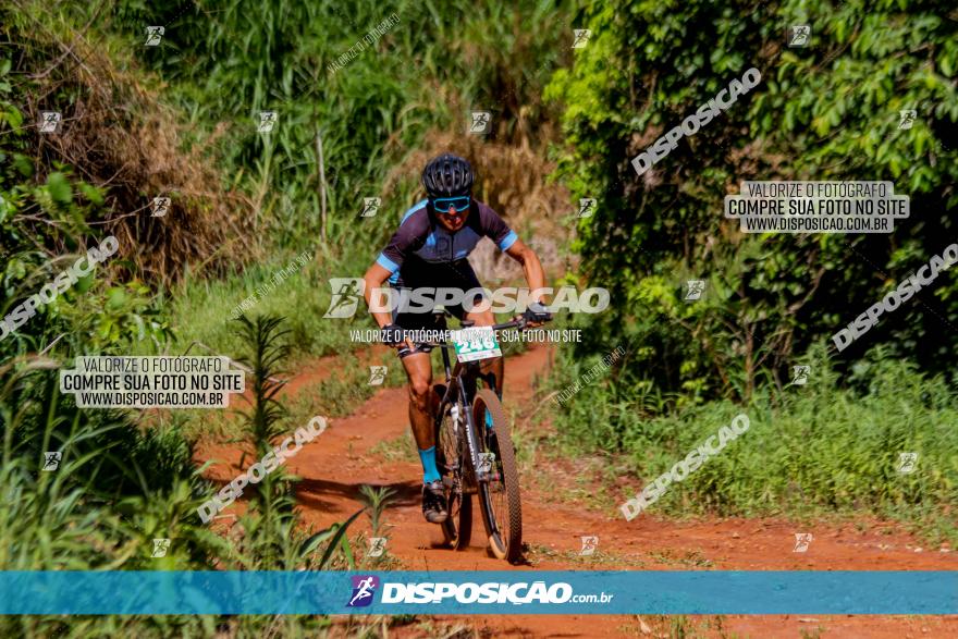 1º CAMPEONATO CINTURÃO VERDE BOUGAINVILLE PREMIUM - PRIMEIRA ETAPA