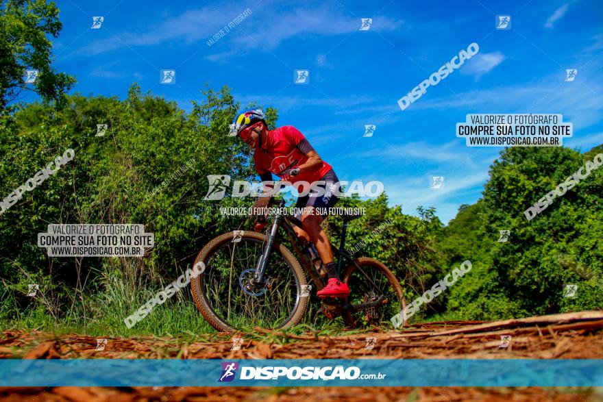 1º CAMPEONATO CINTURÃO VERDE BOUGAINVILLE PREMIUM - PRIMEIRA ETAPA