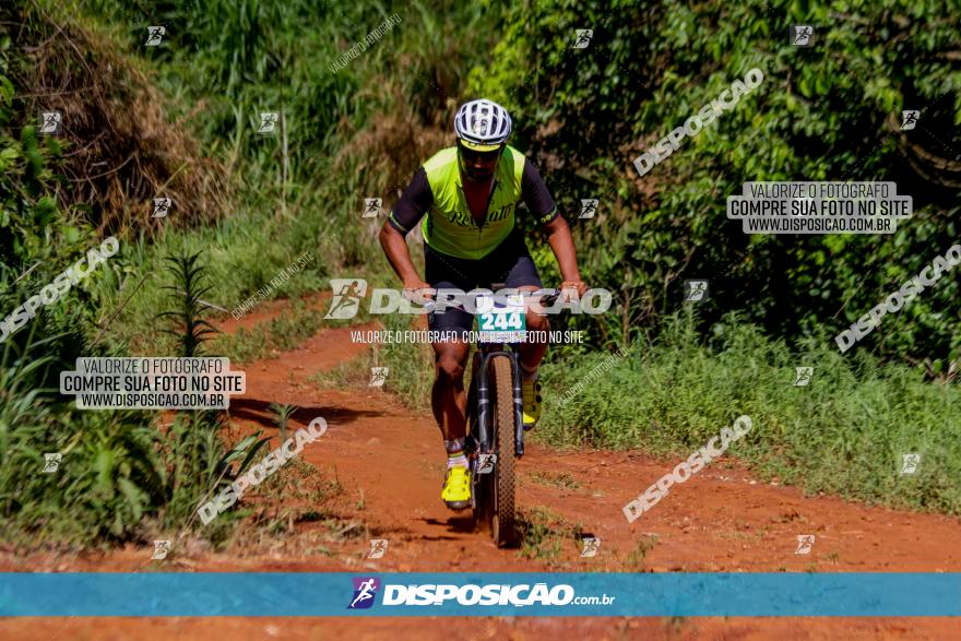 1º CAMPEONATO CINTURÃO VERDE BOUGAINVILLE PREMIUM - PRIMEIRA ETAPA