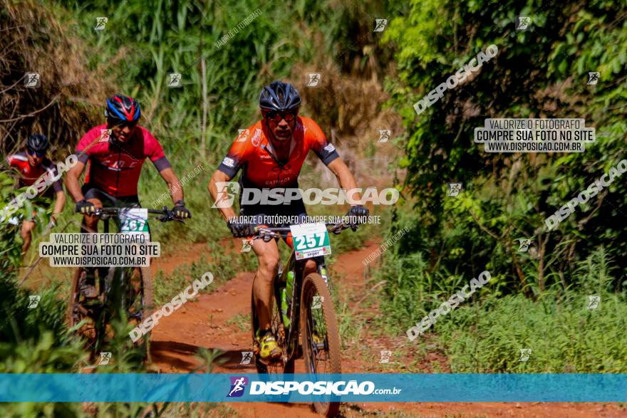 1º CAMPEONATO CINTURÃO VERDE BOUGAINVILLE PREMIUM - PRIMEIRA ETAPA