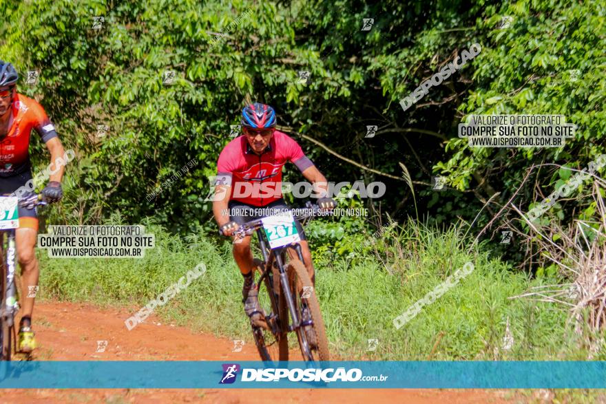 1º CAMPEONATO CINTURÃO VERDE BOUGAINVILLE PREMIUM - PRIMEIRA ETAPA