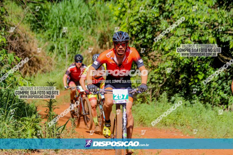 1º CAMPEONATO CINTURÃO VERDE BOUGAINVILLE PREMIUM - PRIMEIRA ETAPA