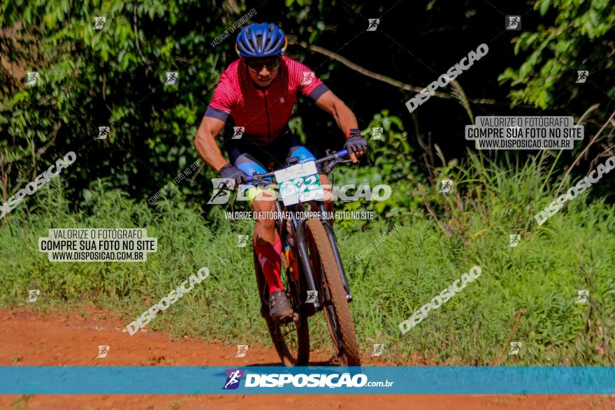 1º CAMPEONATO CINTURÃO VERDE BOUGAINVILLE PREMIUM - PRIMEIRA ETAPA