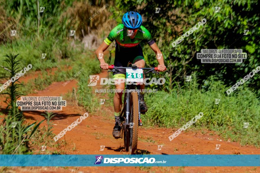 1º CAMPEONATO CINTURÃO VERDE BOUGAINVILLE PREMIUM - PRIMEIRA ETAPA