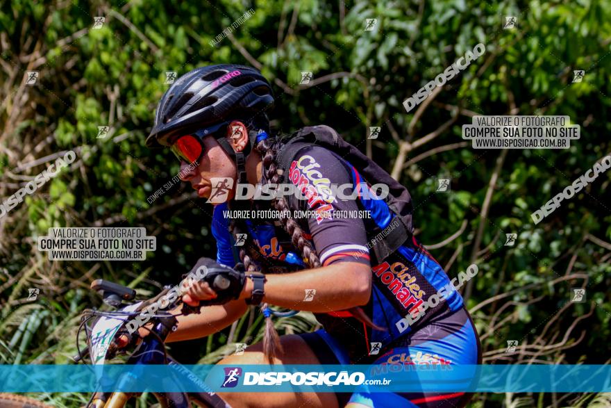 1º CAMPEONATO CINTURÃO VERDE BOUGAINVILLE PREMIUM - PRIMEIRA ETAPA