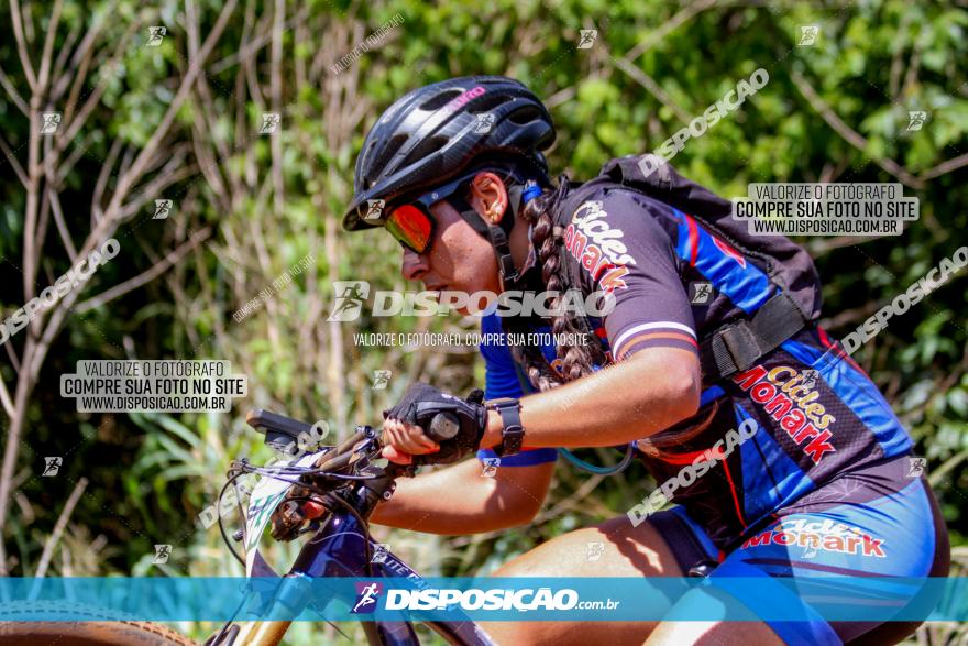 1º CAMPEONATO CINTURÃO VERDE BOUGAINVILLE PREMIUM - PRIMEIRA ETAPA