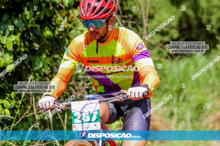 1º CAMPEONATO CINTURÃO VERDE BOUGAINVILLE PREMIUM - PRIMEIRA ETAPA