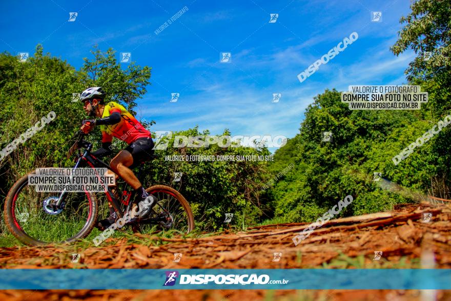 1º CAMPEONATO CINTURÃO VERDE BOUGAINVILLE PREMIUM - PRIMEIRA ETAPA