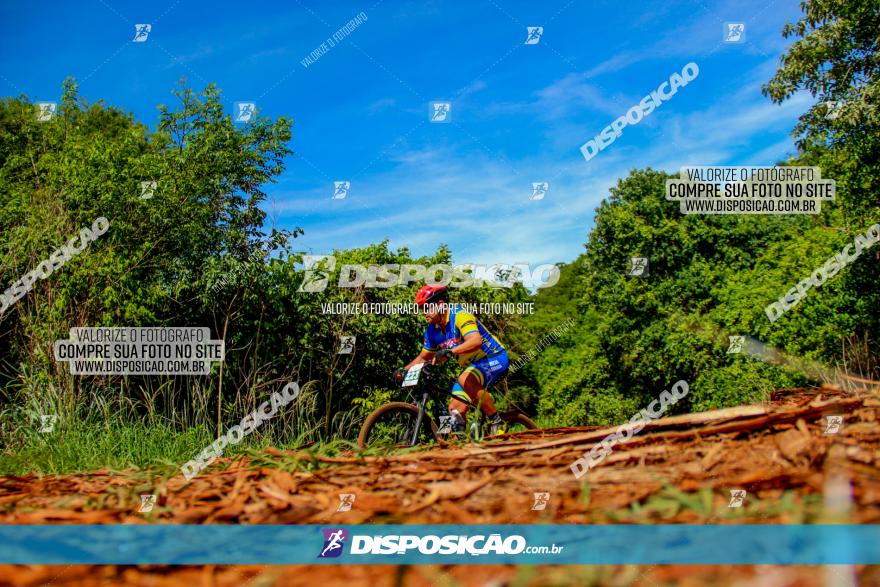 1º CAMPEONATO CINTURÃO VERDE BOUGAINVILLE PREMIUM - PRIMEIRA ETAPA